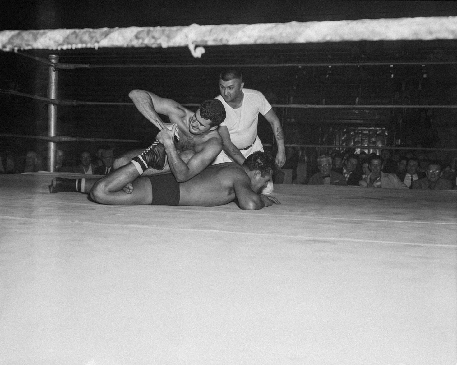 Achieving Balance: Intellectual and Physical Growth